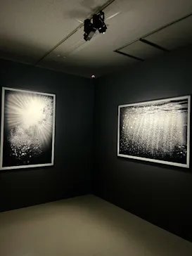 まなざしの奇跡　日本女性写真家の冒険に投稿された画像（2026/8/1）
