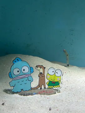 みやじマリン宮島水族館に投稿された画像（2026/8/1）