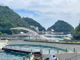 太地町立くじらの博物館に投稿された画像（2026/8/1）