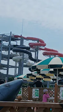 芝政ワールドに投稿された画像（2026/8/1）