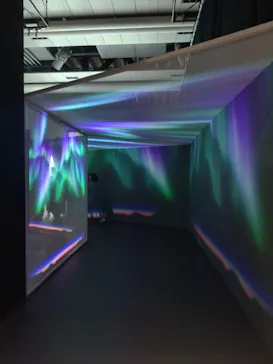 大南極展に投稿された画像（2026/8/1）
