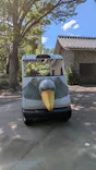 上野動物園 ハシビロカートに投稿された画像（2026/8/1）