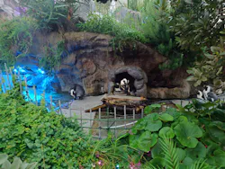 サンシャイン水族館に投稿された画像（2026/8/1）