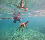 OCEAN LIFE 宮古島に投稿された画像（2026/8/1）