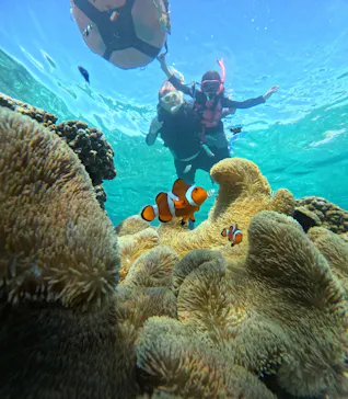 OCEAN LIFE 宮古島に投稿された画像（2026/8/1）