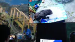 アクアワールド茨城県大洗水族館に投稿された画像（2026/8/1）