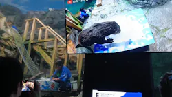 アクアワールド茨城県大洗水族館に投稿された画像（2026/8/1）