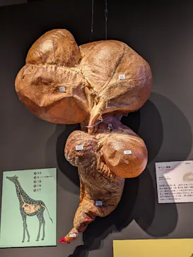 特別展「いきもの超ワールド展　国立科学博物館×ダーウィンが来た！」（国立科学博物館）に投稿された画像（2026/8/1）