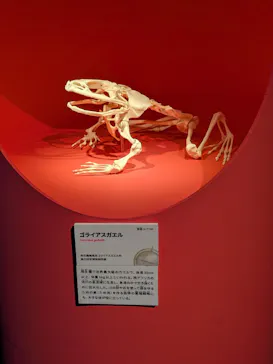 特別展「いきもの超ワールド展　国立科学博物館×ダーウィンが来た！」（国立科学博物館）に投稿された画像（2026/8/1）