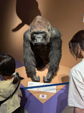 特別展「いきもの超ワールド展　国立科学博物館×ダーウィンが来た！」（国立科学博物館）に投稿された画像（2026/8/1）