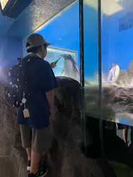 南知多ビーチランド＆南知多おもちゃ王国に投稿された画像（2026/8/1）