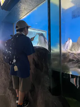 南知多ビーチランド＆南知多おもちゃ王国に投稿された画像（2026/8/1）