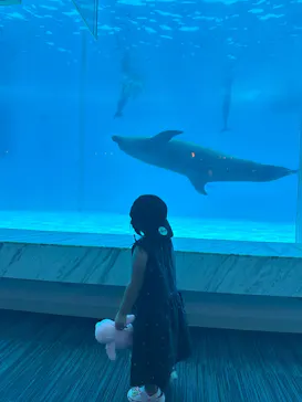 マリンワールド海の中道に投稿された画像（2026/8/1）