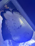新江ノ島水族館に投稿された画像（2026/8/1）