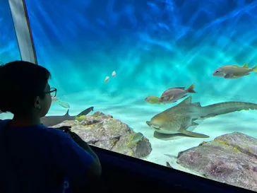 アクアワールド茨城県大洗水族館に投稿された画像（2026/8/1）