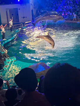 仙台うみの杜水族館に投稿された画像（2026/8/1）