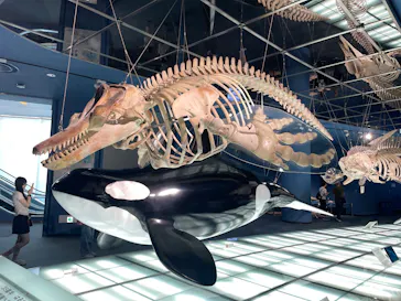 名古屋港水族館に投稿された画像（2026/8/1）