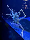 サンシャイン水族館に投稿された画像（2026/8/1）