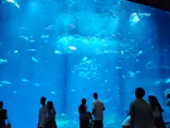 アクアワールド茨城県大洗水族館に投稿された画像（2026/8/1）