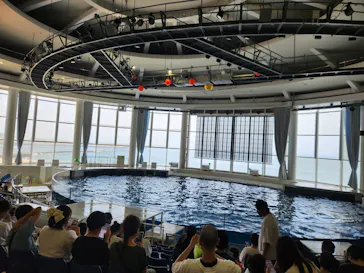 アクアワールド茨城県大洗水族館に投稿された画像（2026/8/1）