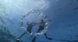 青の洞窟専門店　沖縄ダイビングショップ和に投稿された画像（2026/8/1）