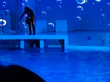 アクアワールド茨城県大洗水族館に投稿された画像（2026/8/1）