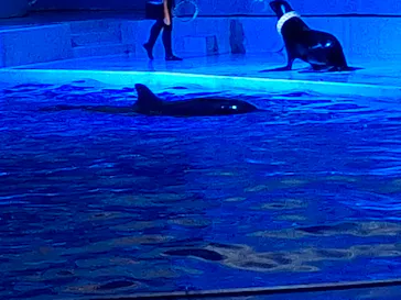 アクアワールド茨城県大洗水族館に投稿された画像（2026/8/1）