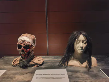ホラーにふれる展 －映画美術の世界－に投稿された画像（2026/8/1）