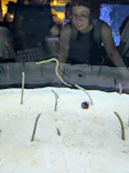 すみだ水族館に投稿された画像（2026/8/2）