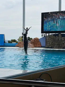 アドベンチャーワールドに投稿された画像（2026/8/1）
