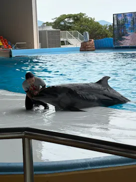アドベンチャーワールドに投稿された画像（2026/8/1）