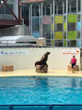伊豆・三津シーパラダイスに投稿された画像（2026/8/2）