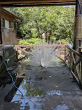 伊豆シャボテン動物公園に投稿された画像（2026/8/2）