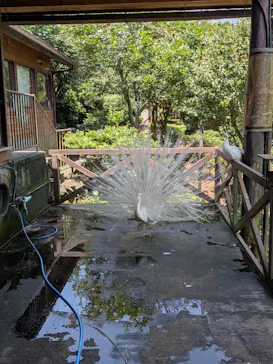伊豆シャボテン動物公園に投稿された画像（2026/8/2）