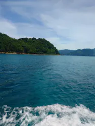 青海島観光汽船に投稿された画像（2026/8/2）