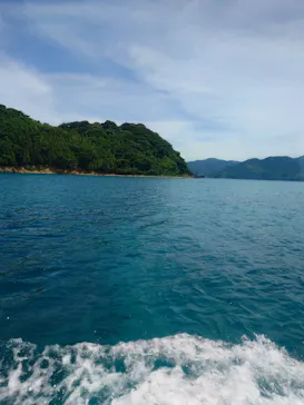 青海島観光汽船に投稿された画像（2026/8/2）