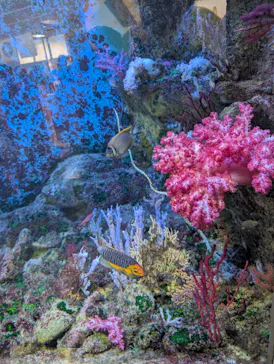 葛西臨海水族園に投稿された画像（2026/8/2）