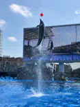 名古屋港水族館に投稿された画像（2026/8/2）