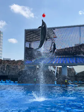 名古屋港水族館に投稿された画像（2026/8/2）