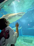 アクアワールド茨城県大洗水族館に投稿された画像（2026/8/2）