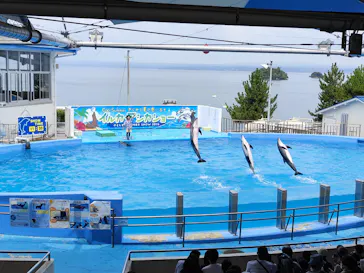 のとじま水族館に投稿された画像（2026/8/2）