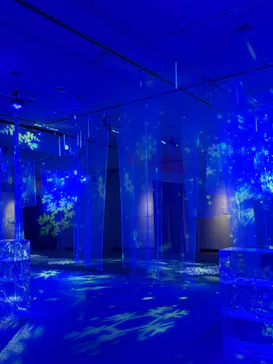 オーロラと森のものがたり展 　～ヒュッゲと童話がおしえてくれたもの～に投稿された画像（2026/8/2）
