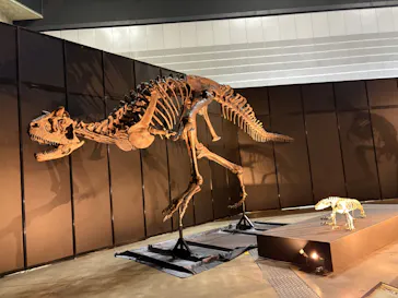 ヨコハマ恐竜展２０２６～恐竜の食卓大図鑑～に投稿された画像（2026/8/2）