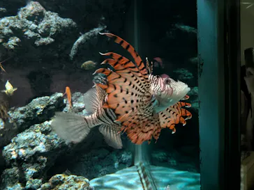 名古屋港水族館に投稿された画像（2026/8/2）