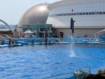 名古屋港水族館に投稿された画像（2026/8/2）