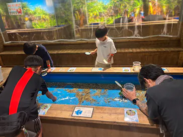釣って見つけるぼうけんの国　豊橋店に投稿された画像（2026/8/2）