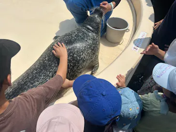 越前松島水族館に投稿された画像（2026/8/2）