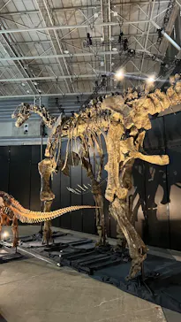 ヨコハマ恐竜展２０２６～恐竜の食卓大図鑑～に投稿された画像（2026/8/2）