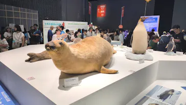 大南極展に投稿された画像（2026/8/2）