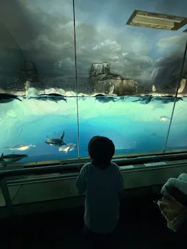 名古屋港水族館に投稿された画像（2026/8/2）
